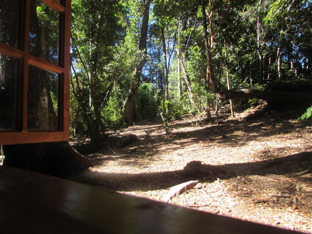 Cabana Rustica Patagonia Chilena Coñaripe Rum bild